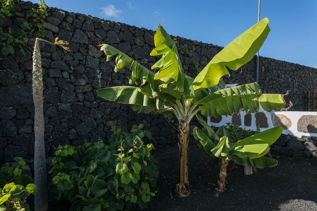 Villa El Jable Lanzarote 特吉塞 外观 照片